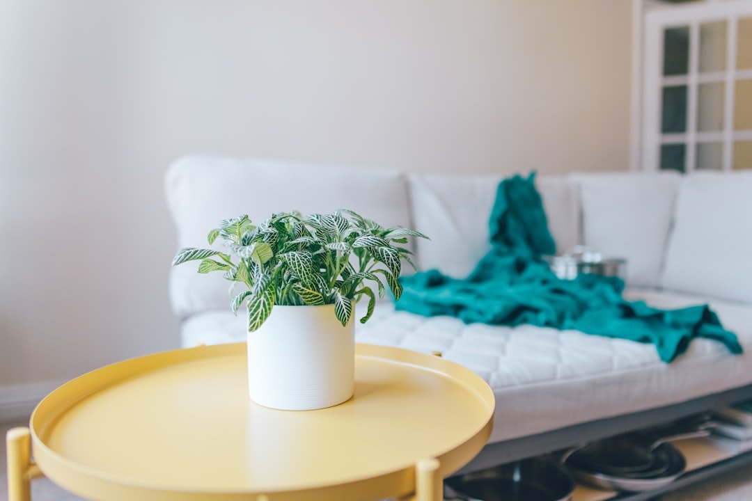 Bàn trà phòng khách với một chậu cây nhỏ và ít món decor tạo cảm giác nhẹ mắt, tinh tế