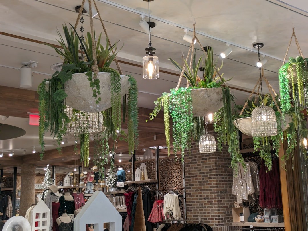 Địa Chỉ Mua Đồ Decor Hà Nội: 7 Dấu Hiệu Giúp Bạn Chọn Đúng Nơi Vừa Chuẩn Vừa Đáng Tiền 1 Một địa chỉ decor chuẩn luôn tạo cảm giác đáng tin ngay từ cách trưng bày