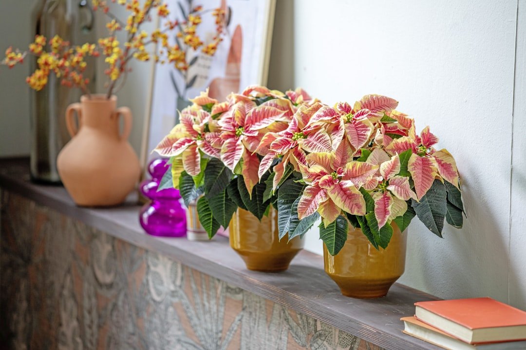 CÁCH CHỌN BÌNH GỐM TRANG TRÍ PHÒNG KHÁCH HÀ NỘI CỰC HIỆU QUẢ 2 Bình gốm trưng bày cùng nội thất sáng màu giúp tổng thể phòng khách hài hòa hơn