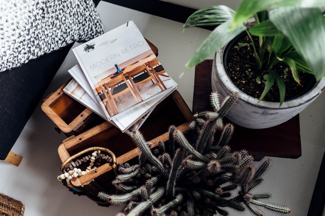 Góc trưng bày decor nội thất kết hợp tài liệu bán hàng và hình ảnh hỗ trợ đại lý