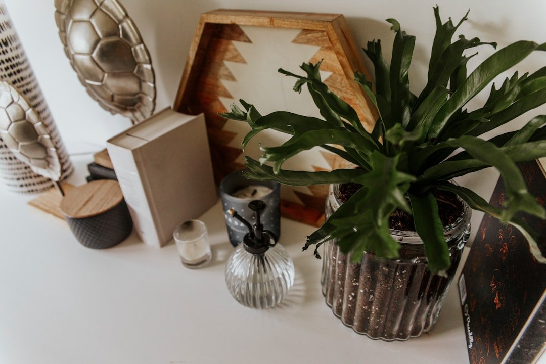 Địa Chỉ Mua Đồ Trang Trí Nhà Cửa Hà Nội: 7 Dấu Hiệu Giúp Người Mua Kỹ Tính Chọn Đúng Nơi 5 Một địa chỉ decor tốt giúp người mua chọn đúng hơn thay vì mua nhiều hơn