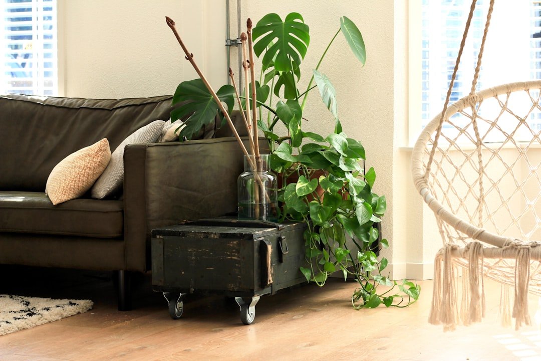 Đặt Chậu Cây Trang Trí Phòng Khách Nên Hay Không? 8 Lý Do Khiến Không Gian Dễ Thở, Có Gu Và Có Sinh Khí Hơn 6 Cây xanh đi cùng đèn và vật liệu mộc giúp góc phòng khách có chiều sâu và có gu hơn