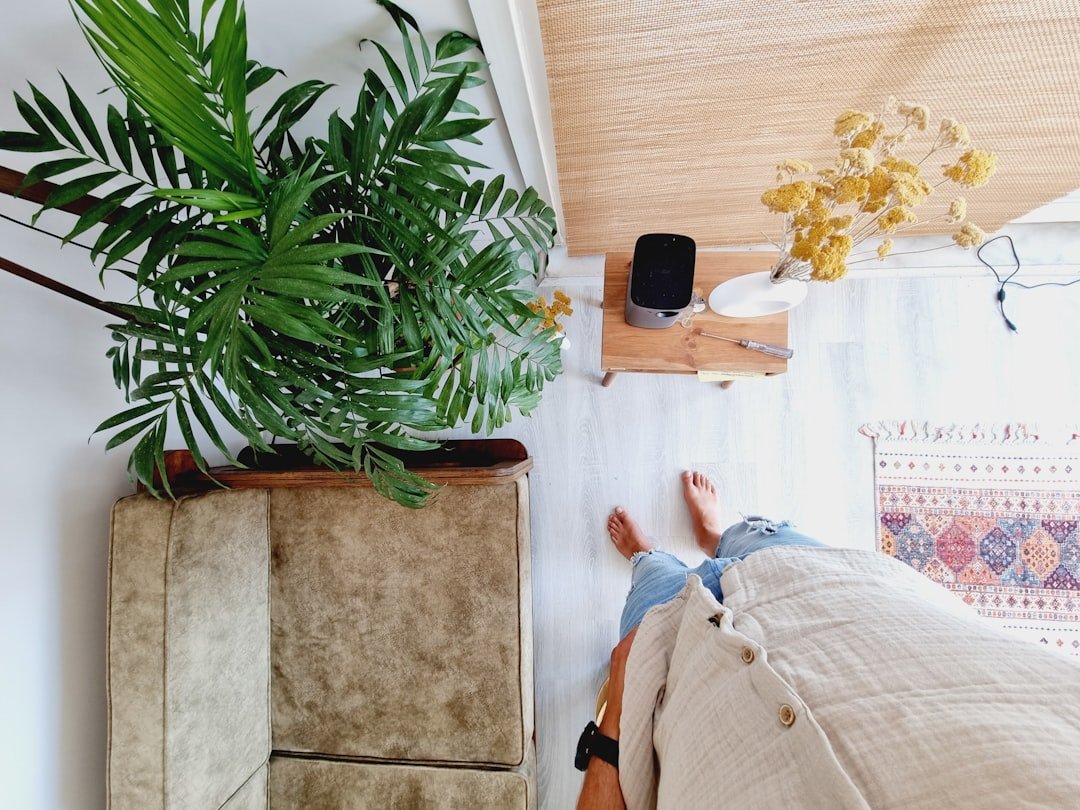 Tổng thể ngôi nhà nhỏ với nền trắng và cây xanh tạo cảm giác rất thoáng mắt