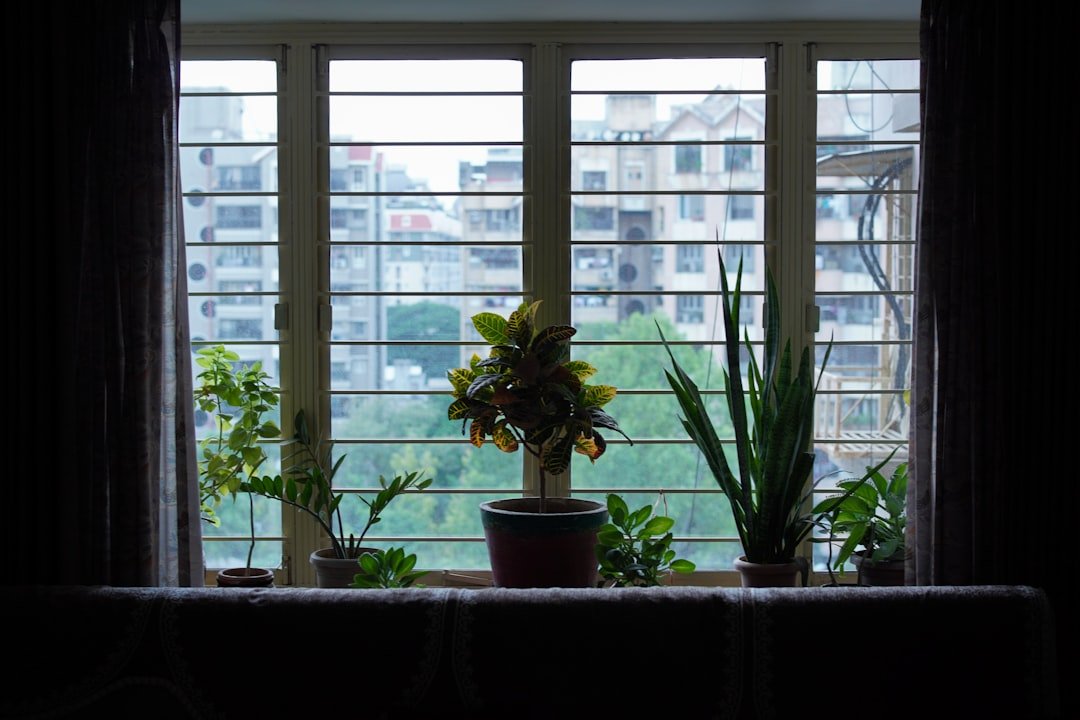Nền trắng kết hợp cây xanh giúp căn nhà nhỏ sáng hơn và có cảm giác nhẹ hơn