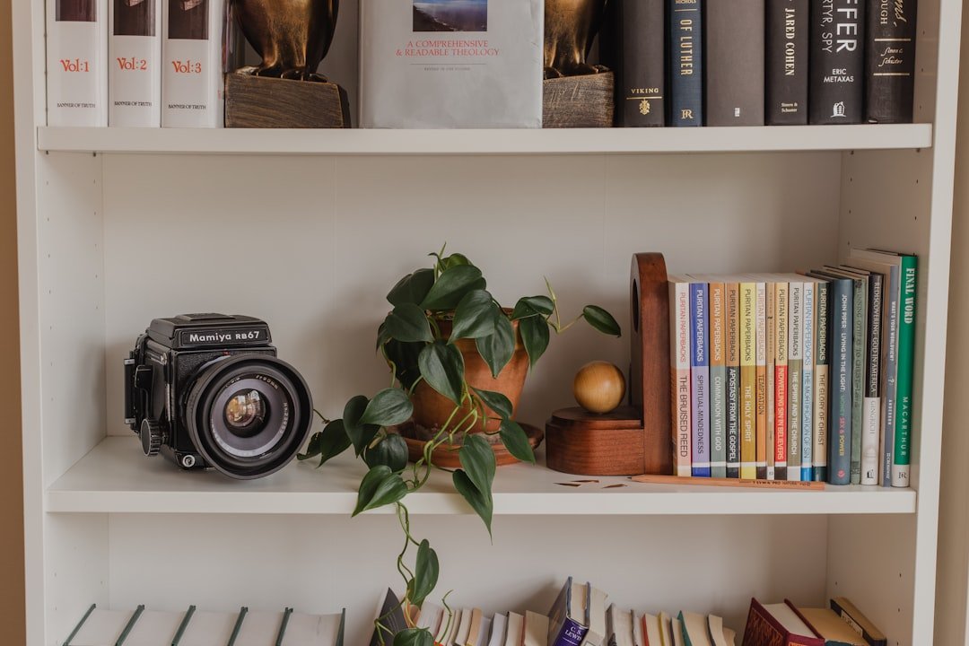 Kệ sách kết hợp phụ kiện decor giúp nhà có câu chuyện hơn