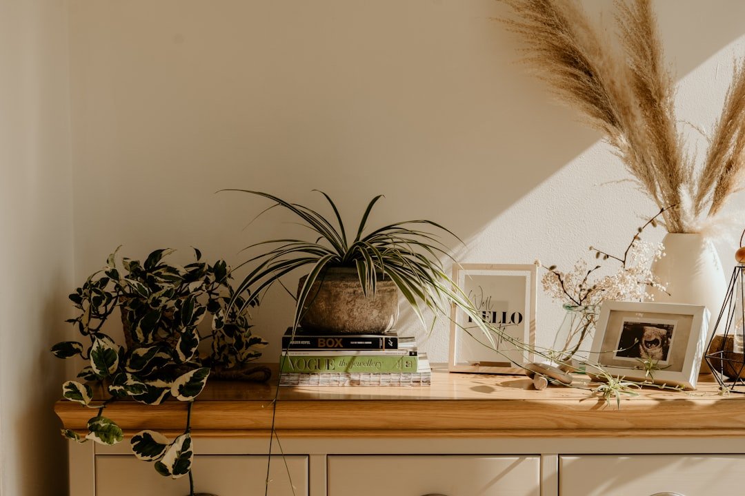 Sách, bình, cây nhỏ và tượng decor giúp kệ phòng khách có chất sống hơn